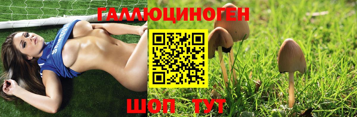 Сафоново  Галлюциногенные грибы Magic Shrooms  Вход с VPN 