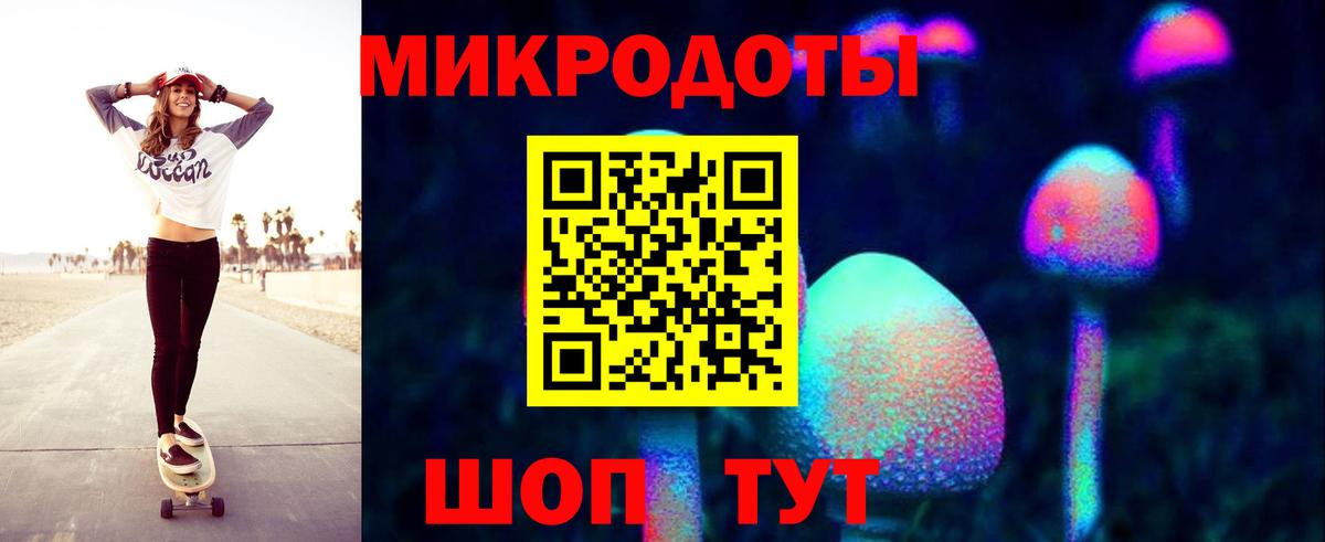 Псилоцибиновые грибы Cubensis Сафоново